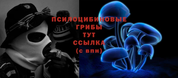 МДМА Белокуриха