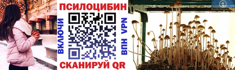 Галлюциногенные грибы мухоморы  Велиж 